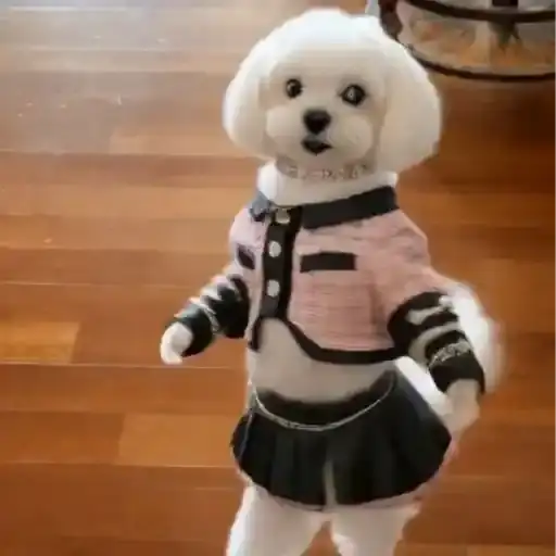 Coletadas sticker 741