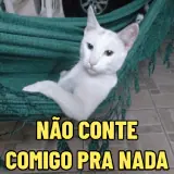 Figurinha de Gatos para WhatsApp