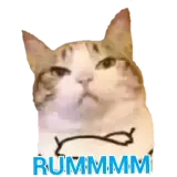 Figurinha de Gatos para WhatsApp