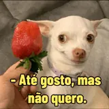 Figurinha para WhatsApp