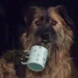 Figurinha para WhatsApp