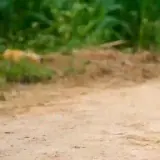 Figurinha para WhatsApp