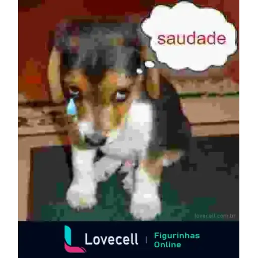 Coletadas sticker 32941