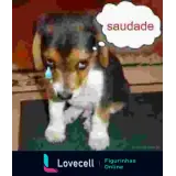 Sticker para WhatsApp