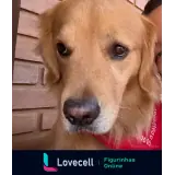 Figurinha para WhatsApp