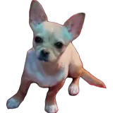 Figurinha de Cachorros para WhatsApp