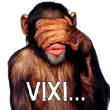 Figurinha de Memes para WhatsApp