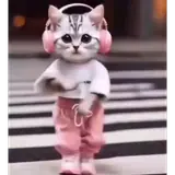 Sticker de Gatos para WhatsApp