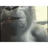 Figurinha para WhatsApp