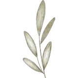 Figurinha para WhatsApp