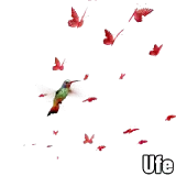 Figurinha de Animais para WhatsApp