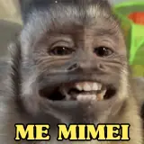 Figurinha de Memes para WhatsApp