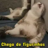Figurinha de Gatos para WhatsApp