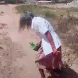 Figurinha para WhatsApp