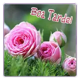 Figurinha para WhatsApp