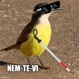 Figurinha de Memes para WhatsApp