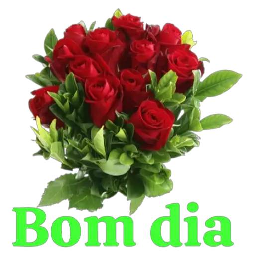 Coletadas sticker 31