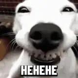 Figurinha de Cachorros para WhatsApp