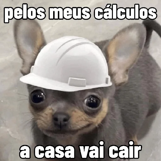 Figurinha para WhatsApp — Memes Brasileiros