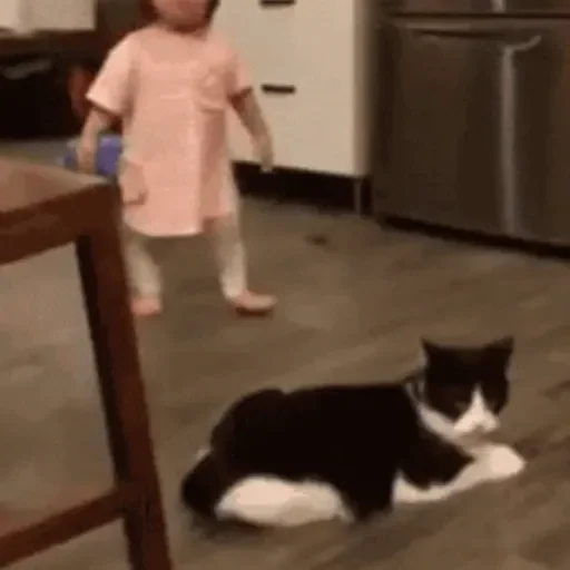 Figurinha para WhatsApp — Animais