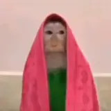 Figurinha de reação para WhatsApp