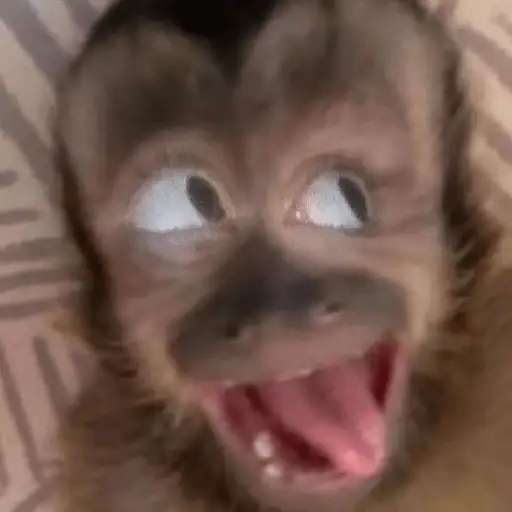 Coletadas sticker 352