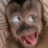 Figurinha para WhatsApp