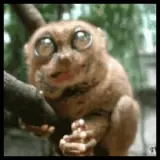 Figurinha para WhatsApp