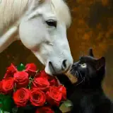 Figurinha de Amor para WhatsApp