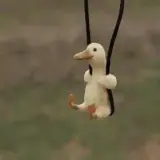 Sticker de Animais para WhatsApp