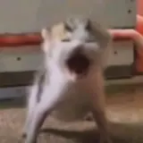 Sticker para WhatsApp