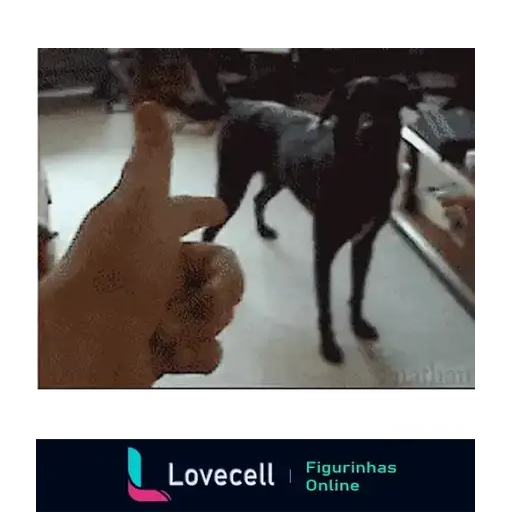 Coletadas sticker 32540