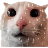 Figurinha para WhatsApp