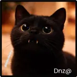 Figurinha de Gatos para WhatsApp