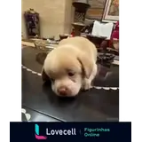 Figurinha para WhatsApp