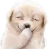 Figurinha de Cachorros para WhatsApp