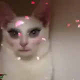 Figurinha para WhatsApp