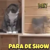 Gatos WhatsApp sticker