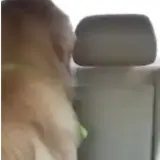 Figurinha para WhatsApp