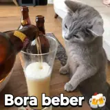 Figurinha de Memes para WhatsApp