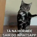 Sticker de Memes Brasileiros para WhatsApp