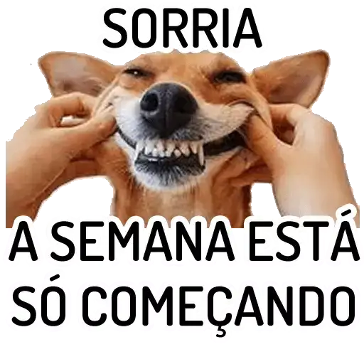 Coletadas sticker 30349