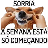 Sticker para WhatsApp