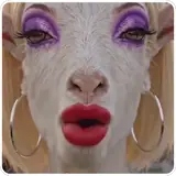 Figurinha de Memes para WhatsApp