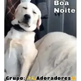 WhatsApp sticker