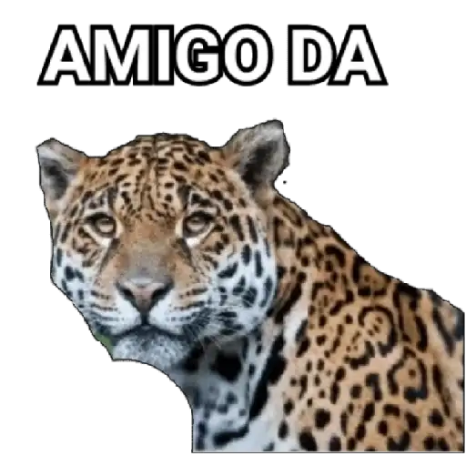 Coletadas sticker 39172