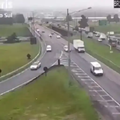 Coletadas sticker 132