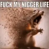 Figurinha de Memes para WhatsApp