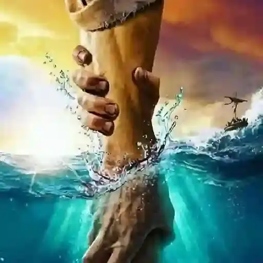 Coletadas sticker 569