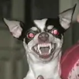 Sticker de Cachorros para WhatsApp